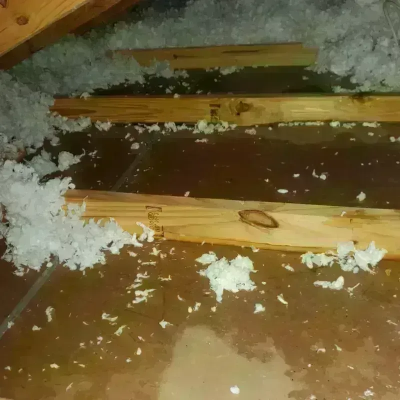 Attic Water Damage in Barre, VT